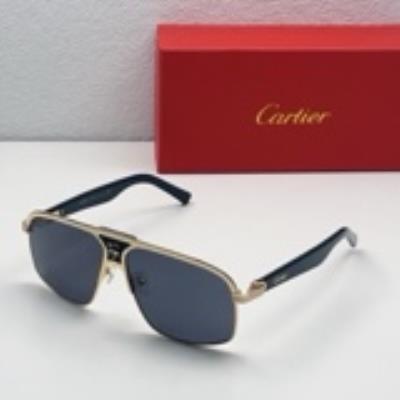 cheap quality Cartier Sunglasses Model No. 1013